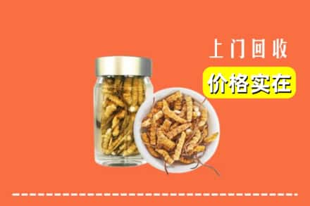 收购资讯:西双版纳回收散虫草