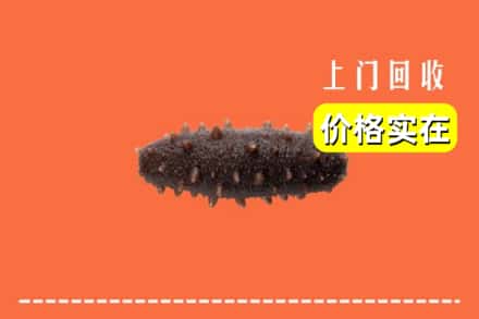 收购资讯:西双版纳回收海参