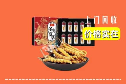 西双版纳回收虫草