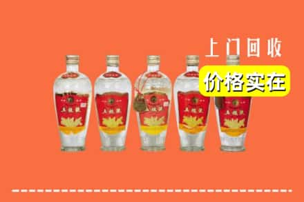 西双版纳回收老五粮液